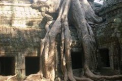 2007-Singapore-Cambodja-28