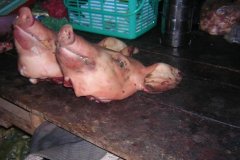 2007-Singapore-Cambodja-5