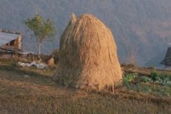 Nepal_2008_Annapurna-Sanctuary-30