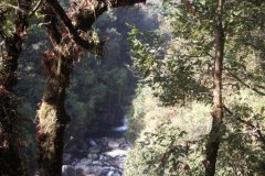 Nepal_2008_Annapurna-Sanctuary-46