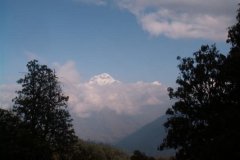 Nepal_2008_Annapurna-Sanctuary-6