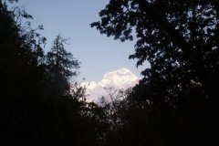 Nepal_2008_Annapurna-Sanctuary-9