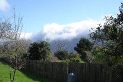 DSC00947-Medium