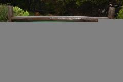 DSC00975-Medium
